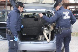 Unidad Canina