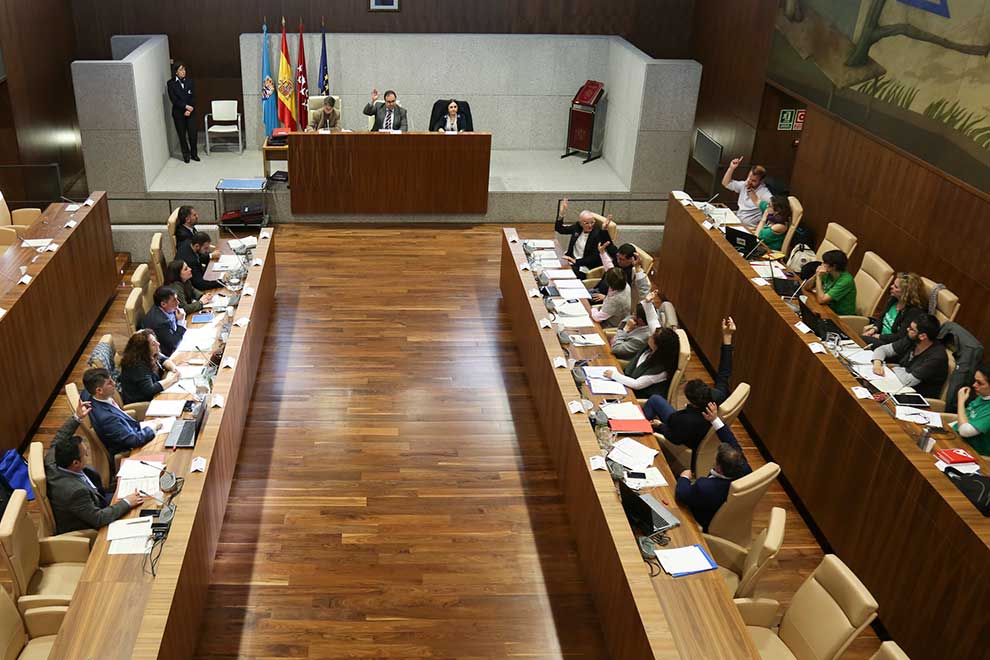 Pleno votación Biblioteca