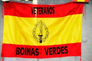Boinas verdes
