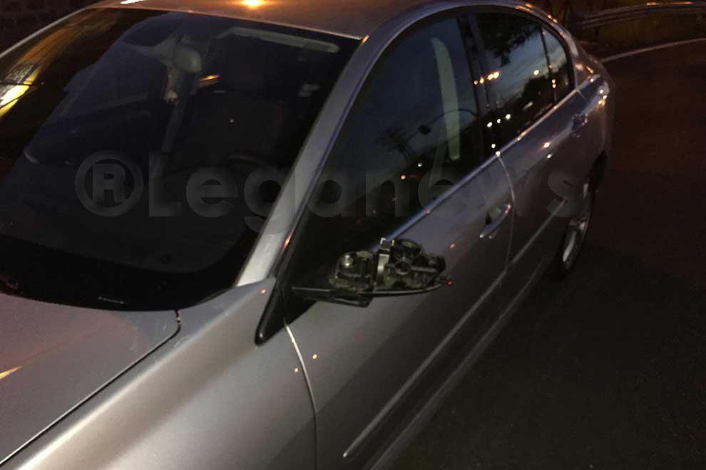 arbol-sobre-coche