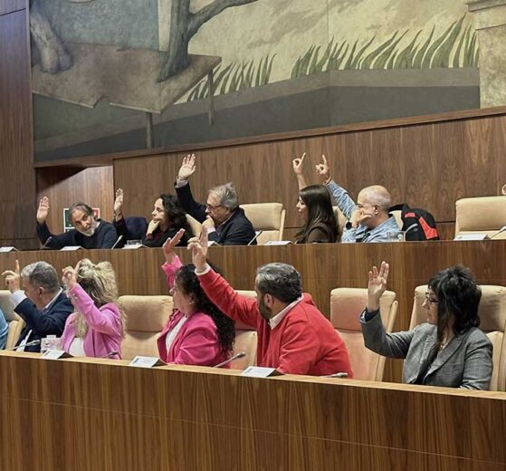 PSOE, Más Madrid, Podemos y VOX votaron no a los Presupuestos